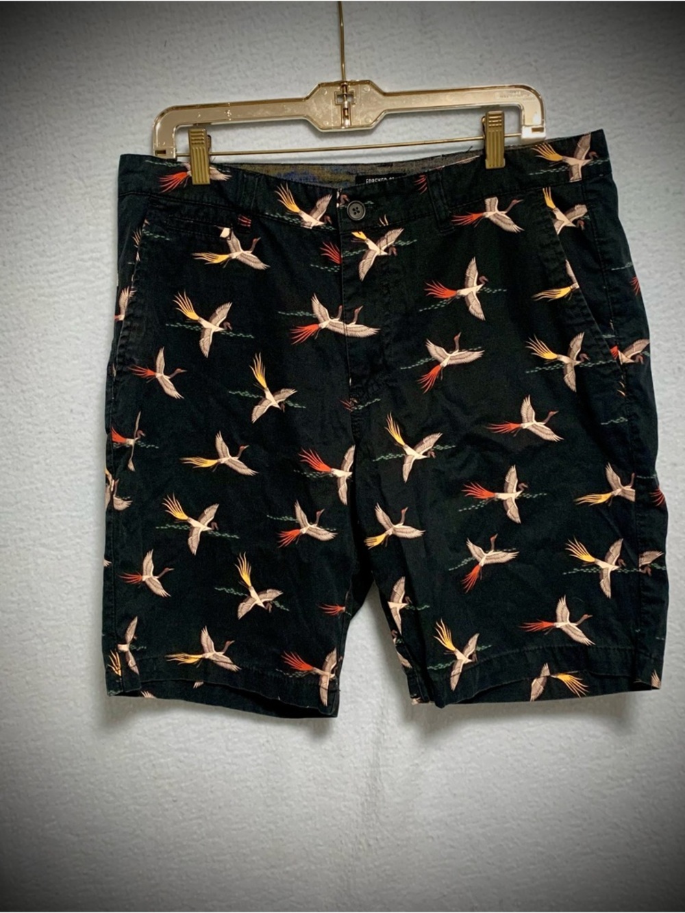 🕊️Men’s Bird Print Shorts Cotton Casual Pockets Size 34 New